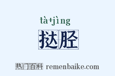 挞胫是什么意思的图片